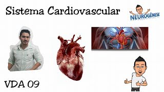 Sistema Cardiovascular  Vídeo Aula 09 [upl. by Morven]