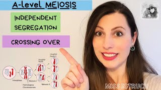 MEIOSIS ALevel Biology  How CROSSING OVER and INDEPENDENT SEGREGATION introduce genetic variation [upl. by Ioves]