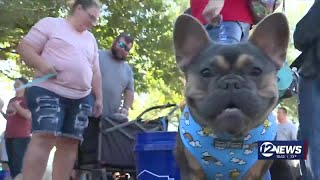 28th annual Woofstock at Sedgwick County Park [upl. by Nnyleve]