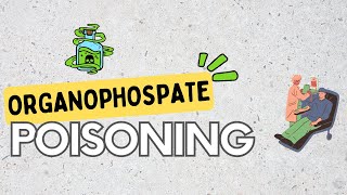 Organophosphate poisoning signs Pathophysiology diagnosis and Treatment [upl. by Gale743]