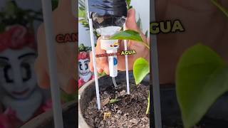 RIEGO DE GOTEO CASERO huerto jardin jardinería tips tutorial agricola us agro riegoporgoteo [upl. by Sansbury]