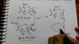 Disachharides Sucrose Maltose and Lactose Chemistry [upl. by Eillo]