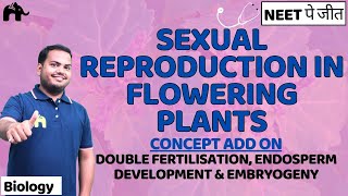 Sexual Reproduction in flowering Plants Class 12 NEETDouble FertilisationConcept AddOnBiology [upl. by Packton285]