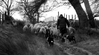 James Rebanks on The Shepherd’s Life [upl. by Porett997]