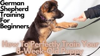 German Shepherd Puppy Training 6 Things To Focus On For Beginners [upl. by Adnaloj]