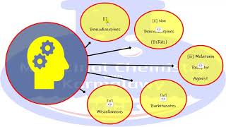 Anxiolytics Sedatives and Hypnotics Lecture 1 Part 1 CNS drugs Karmalawy [upl. by Fakieh]