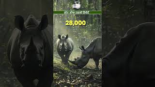 Rhino Poaching Crisis State of Rhino Report 2024 International Rhino Foundation StudyIQ IAS Hindi [upl. by Attennaj460]