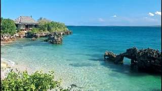 Wonderful Pansy Island  Bazaruto Archipelago in Mozambique [upl. by Aneres]