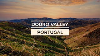 Flying through Douro Valley  Portugal  DJI Mavic Air 2 [upl. by Vilhelmina]