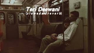 Teri Deewani s l o w e d and r e v e r b [upl. by Oruasi]