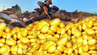 OMG Lucky Lucky Day Mining Gold  Finding and digging gold [upl. by Sitruk]