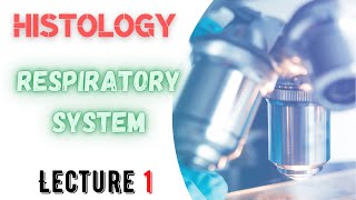 NMC2nd  Histology Respiratory System  Lec 1 [upl. by Aneehsram]