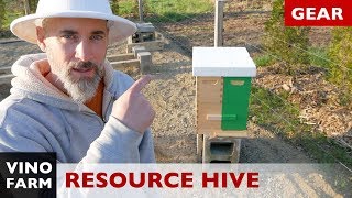 Resource Hive  Double Nuc  Duplex Hive  Something New [upl. by Cindra]