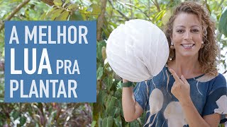 A influência da LUA nas PLANTAS quando PLANTAR e COLHER [upl. by Mairim]