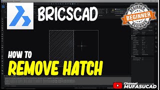 How To Remove Hatch In BricsCAD [upl. by Abihsat]