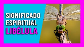 «【 Libélulas】» Significado Espiritual  Soñar con Libélulas 🧙 [upl. by Almeda]