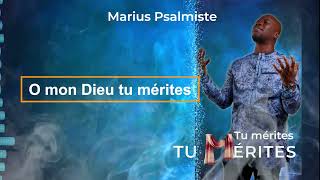 Marius Psalmiste  TU MERITES LYRIC [upl. by Zerep]