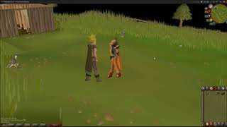 OSRS Hunter Guide Falconry [upl. by Malinowski]