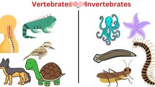 Vertebrates and Invertebrates for kids [upl. by Haelam]