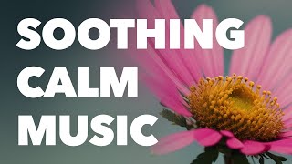 🌿 Relaxing Aesthetic Piano Music with Nature Sounds  No Copyright Music for YouTube Videos [upl. by Nylessoj]