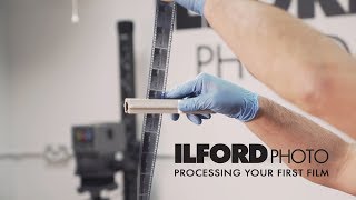 Processing Black amp White Film [upl. by Amaleta]