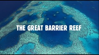 Queenslands Great Barrier Reef The Worlds Best Address [upl. by Panta51]