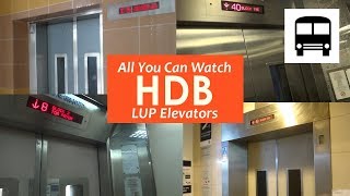 🚪🔔 All You Can Watch Singapore Modern HDB Elevators 🔔🚪 Doors Closing and Opening 🚪 [upl. by Chapin238]