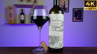 0549  Vinho Saint Felicien Malbec 2023 vinho vino wine [upl. by Anuaik]