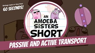 Passive and Active Transport  Amoeba Sisters Shorts [upl. by Apilef]