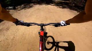 2020 Vitus Nucleus VR Hardtail Mountain Bike Jumps [upl. by Rosamund137]