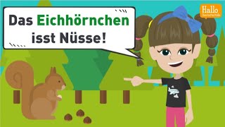 Deutsch lernen A1 und A2  Wörter mit den Umlauten ä ö und ü  Wortschatz und Grammatik üben [upl. by Ainival]