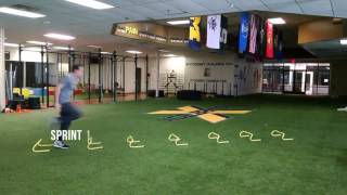 20 Mini Hurdle Drills for Speed Quickness and Agility [upl. by Ashjian]