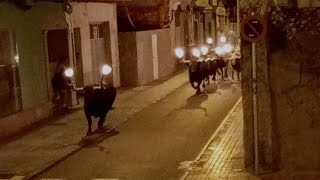 Encierro de Toros Embolados Ganadería La Espuela Bous a Burriana 2024 [upl. by Dempster]