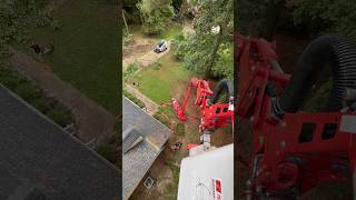 Tree removal view from our spider lift [upl. by Leicam]