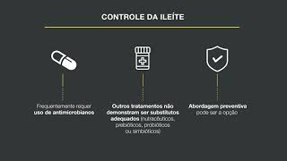 Ileíte controle x redução do uso de antimicrobianos 1011 [upl. by Einamrej]