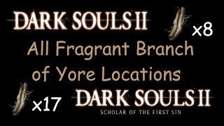 Dark Souls 2 Scholar of the First Sin Petrified Dragon Bone Location [upl. by Thilda]