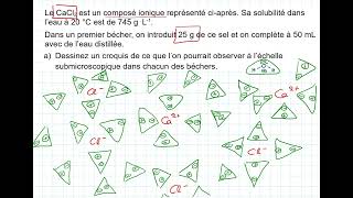 1E4Ae Solubilité solution saturation et suspension Exemple dexercice avec sa résolution [upl. by Suravat]