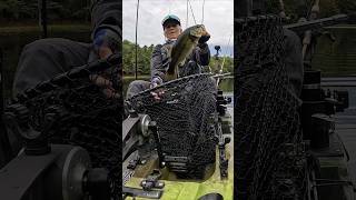 River Bassin  92524 shorts youtubecreators YouTubeHighFive kayakfishing [upl. by Sinnoda778]