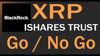 XRP ISHARES TRUST BlackRock Fink amp Mitchnick Ripple AMA BIS Quantum Cathie Wood Steven Nerayoff [upl. by Doomham878]