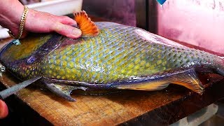 Japanese Street Food  GIANT TITAN TRIGGERFISH Sashimi Seafood Okinawa Japan [upl. by Nassi]