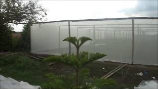 Instalación Malla AntiTrip para un cultivo de Tomates [upl. by Ilan111]