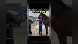 Kozga yosh keldi🥹 Энг Маноли Канал N1🔔reels ibrat instagram ibratli shorts rek horse love [upl. by Tova]