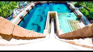 Leap of Faith  Water Slide  Atlantis Paradise Island Bahamas [upl. by Ydnab711]