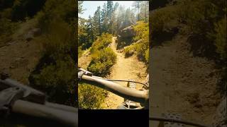 So many dropped chains on this ride but still so much fun mtb mountainbike flow [upl. by Wolenik]