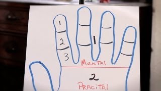 How to Read a Fingers 3 Sections  Palm Reading [upl. by Elyac]