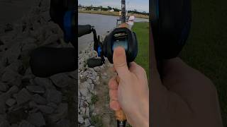 ZZZZIIIIIING  Shimano SLX DC first cast amp catch fishing [upl. by Slocum]