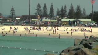 Neil Anthony  Forster Tuncurry Song [upl. by Ecneitap]