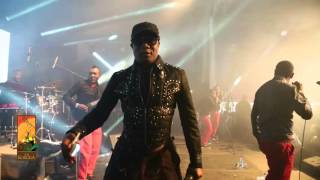 Koffi Olomide performs An Intro dance Live at The Koroga Festival [upl. by Herrera670]