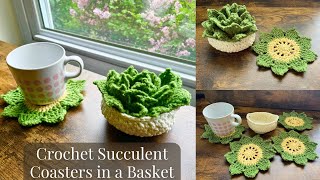 EASY Crochet Succulent Coasters in a Basket [upl. by Aritak]