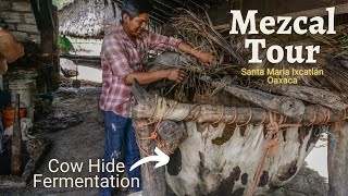 Mezcal Tour  Cow Hide Fermentation Santa Maria Ixcatlan Oaxaca [upl. by Lemmie116]